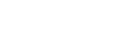 EVERYDAY OBJECT